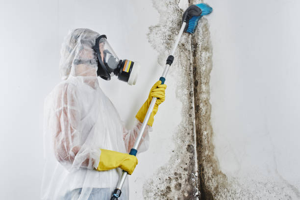 Mold Testing and Removal in Spencer, OK