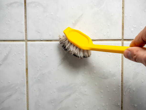 Best Mold Removal Company Near Me  in Spencer, OK