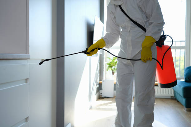 Best Residential Mold Removal  in Spencer, OK