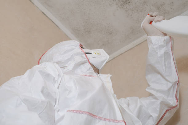 Best Mold Inspection  in Spencer, OK